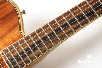 American Acoustasonic Telecaster Exotic Koa